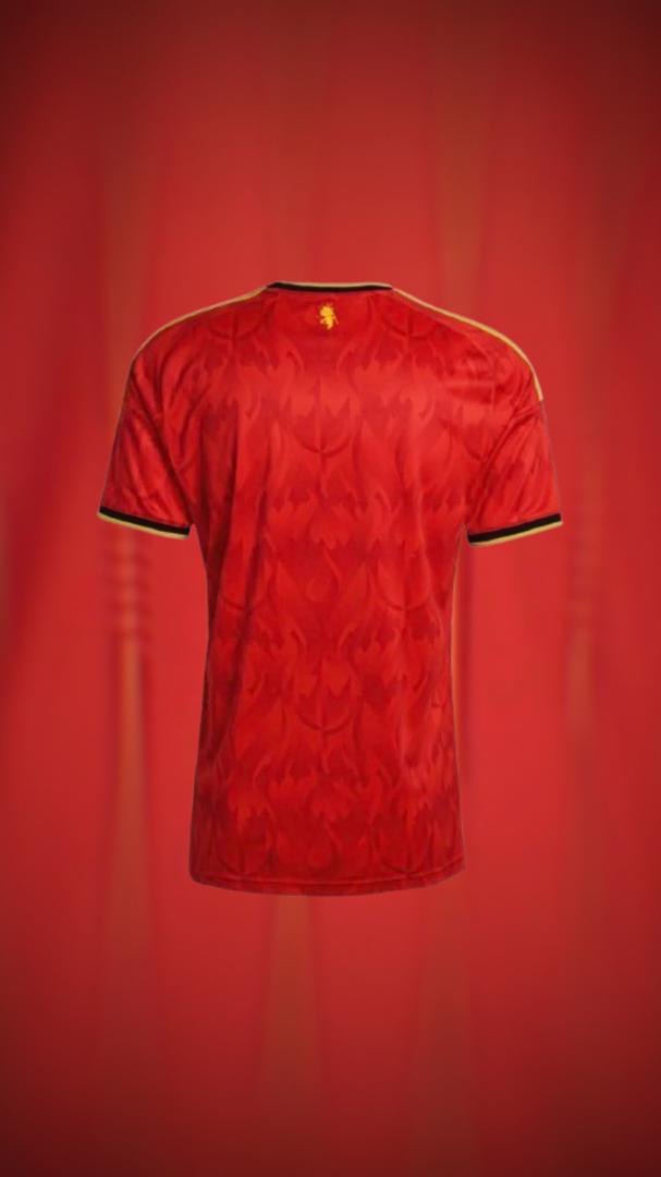 Maillot domicile Espagne 26